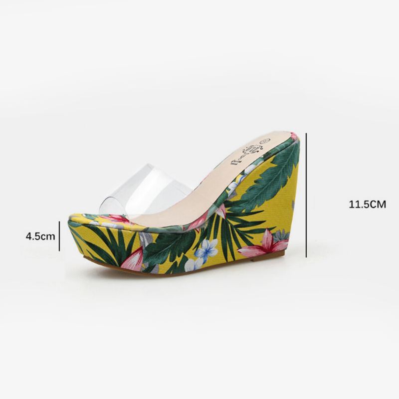 Dames Zomer Transparante Sandalen Met Een Band Wedges Hak