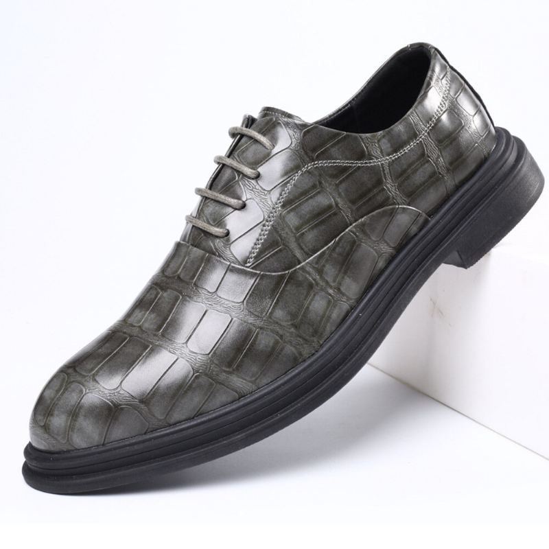 Heren Lederen Comfortabele Zachte Zool Krokodil Graan Engeland Stijl Casual Zakelijke Schoenen