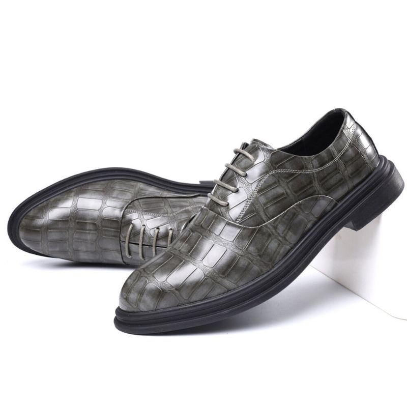 Heren Lederen Comfortabele Zachte Zool Krokodil Graan Engeland Stijl Casual Zakelijke Schoenen